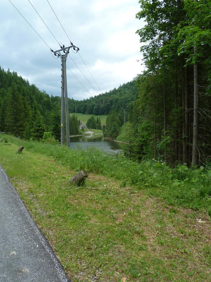 Penzion Borovica Stratená Eksteriør bilde